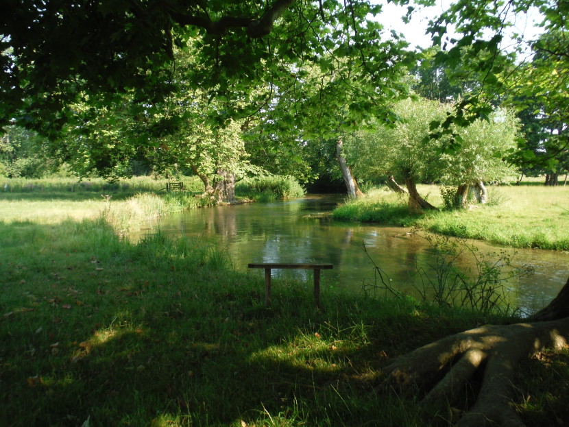 Avon meadows